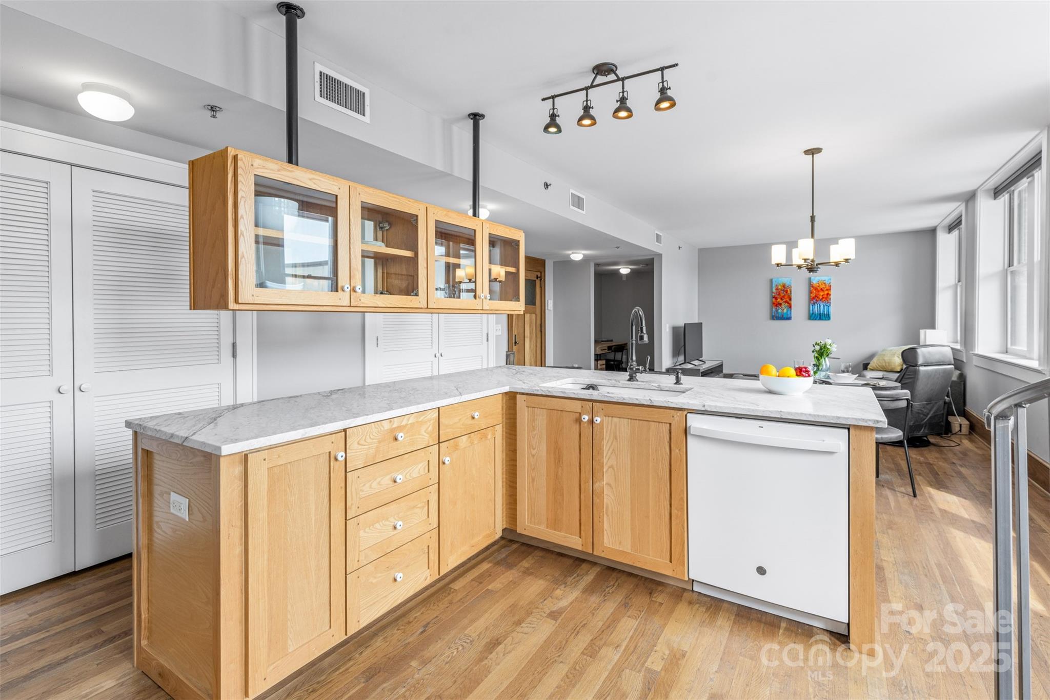 Downtown District - Residential