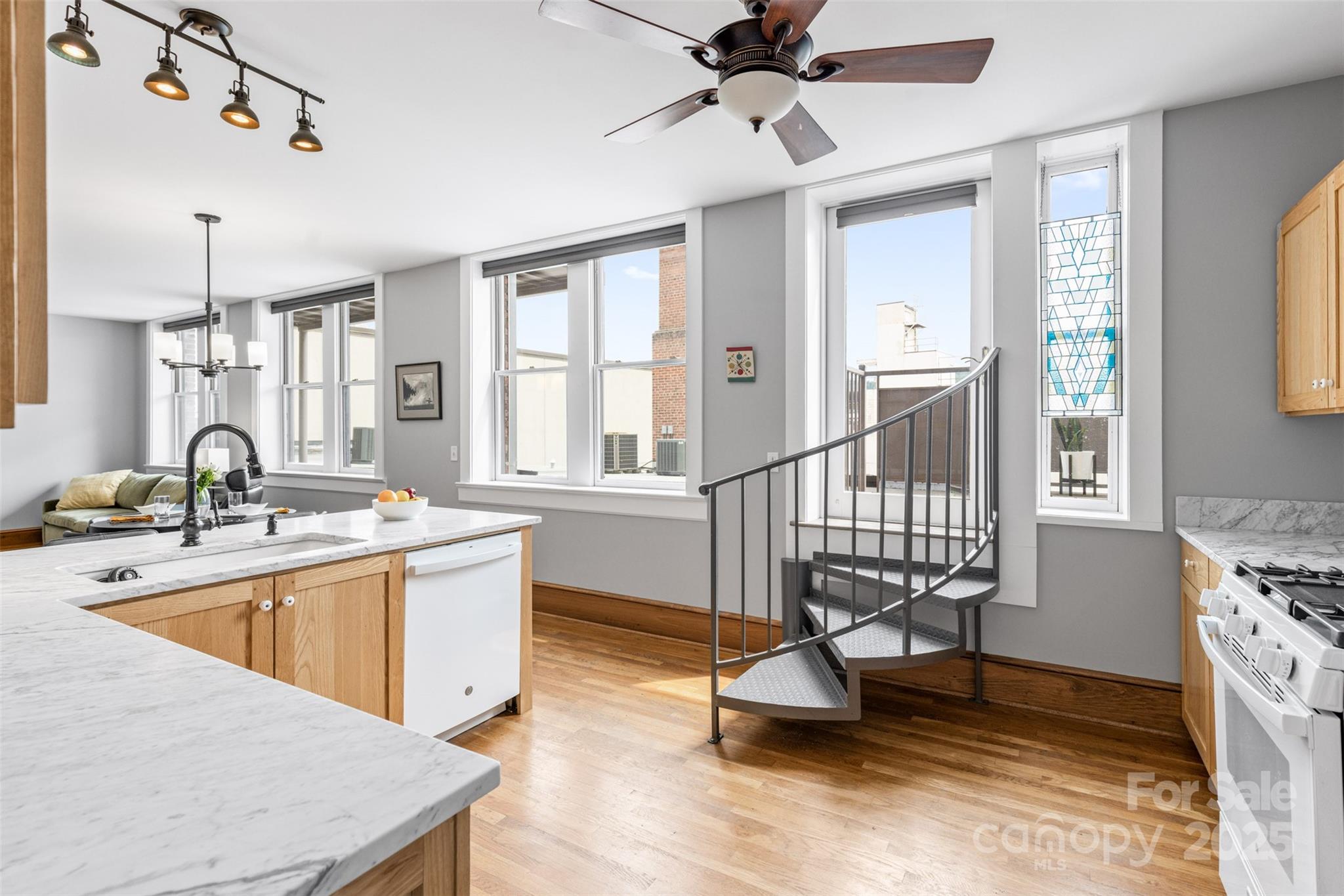 Downtown District - Residential