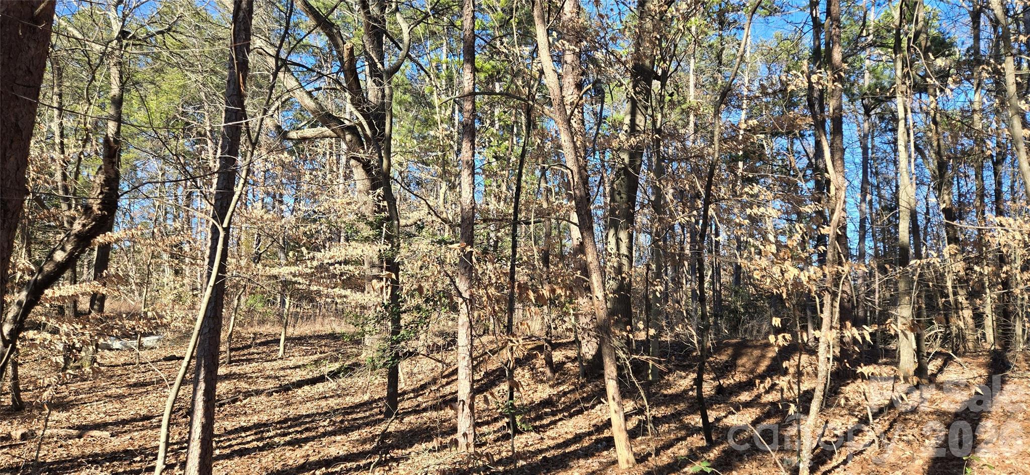 Caldwell Acres - Land