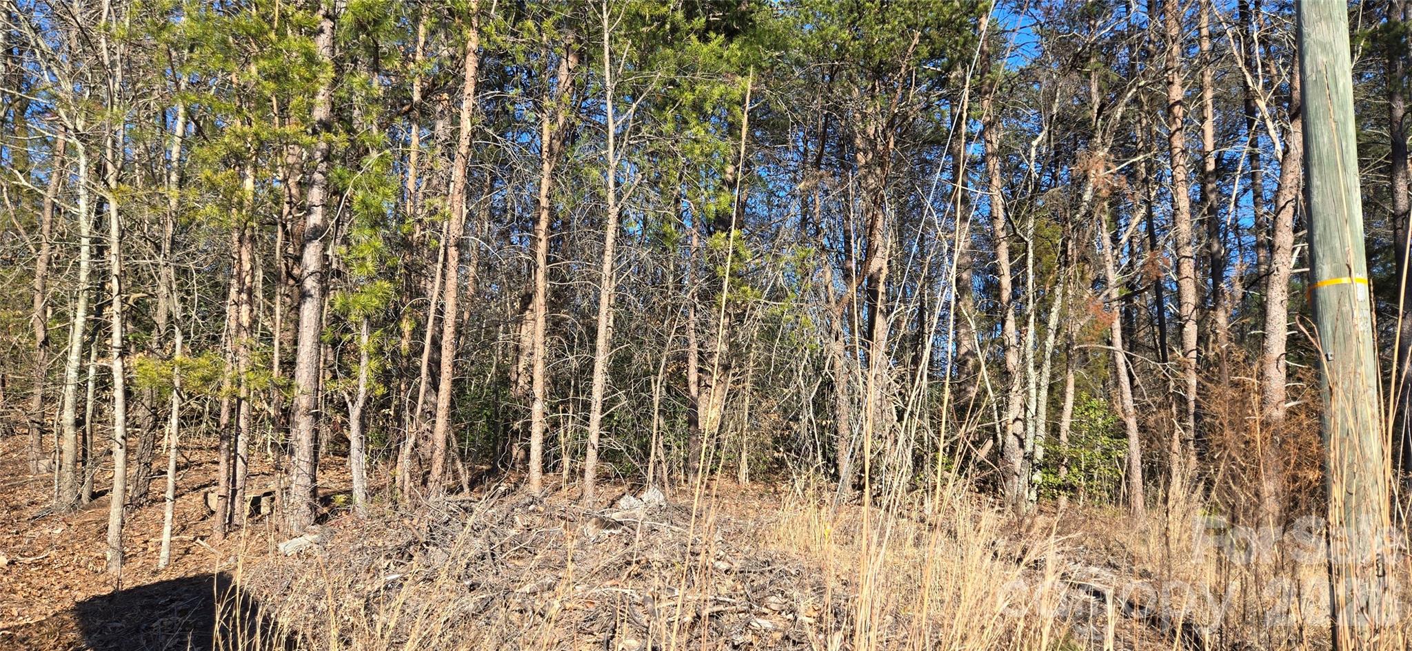 Caldwell Acres - Land