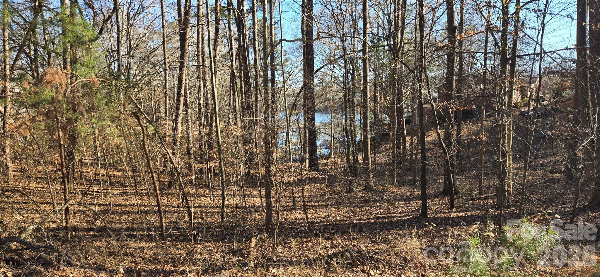 1222 Cartwright Drive