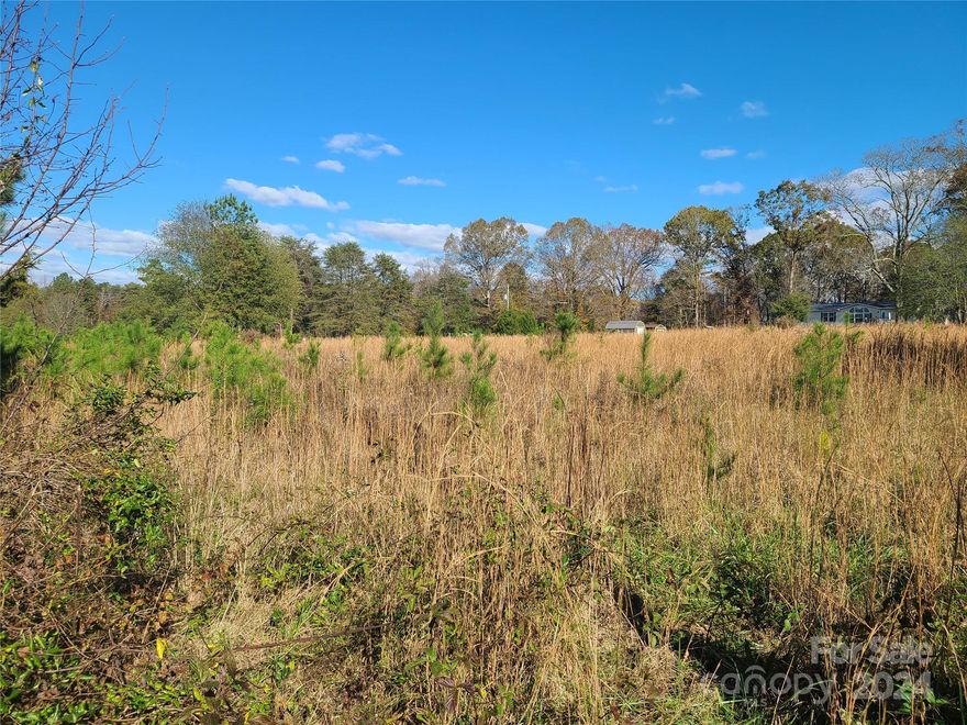 Awesome, flat acre of land. Survey is done. Perc test is done.  Ready to build. Country road just south of the border.