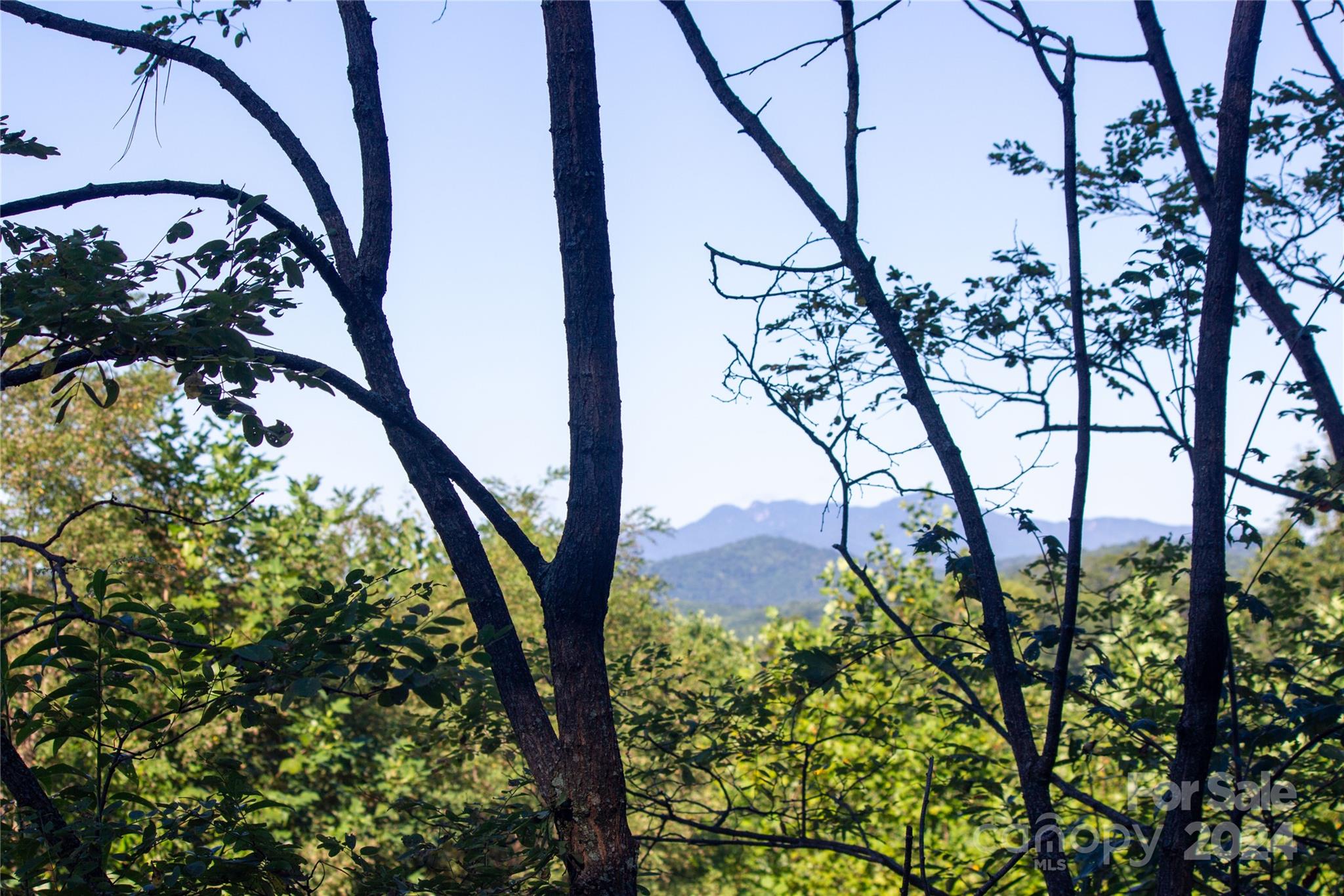 Lot# 134 Fire Crest Lane 134