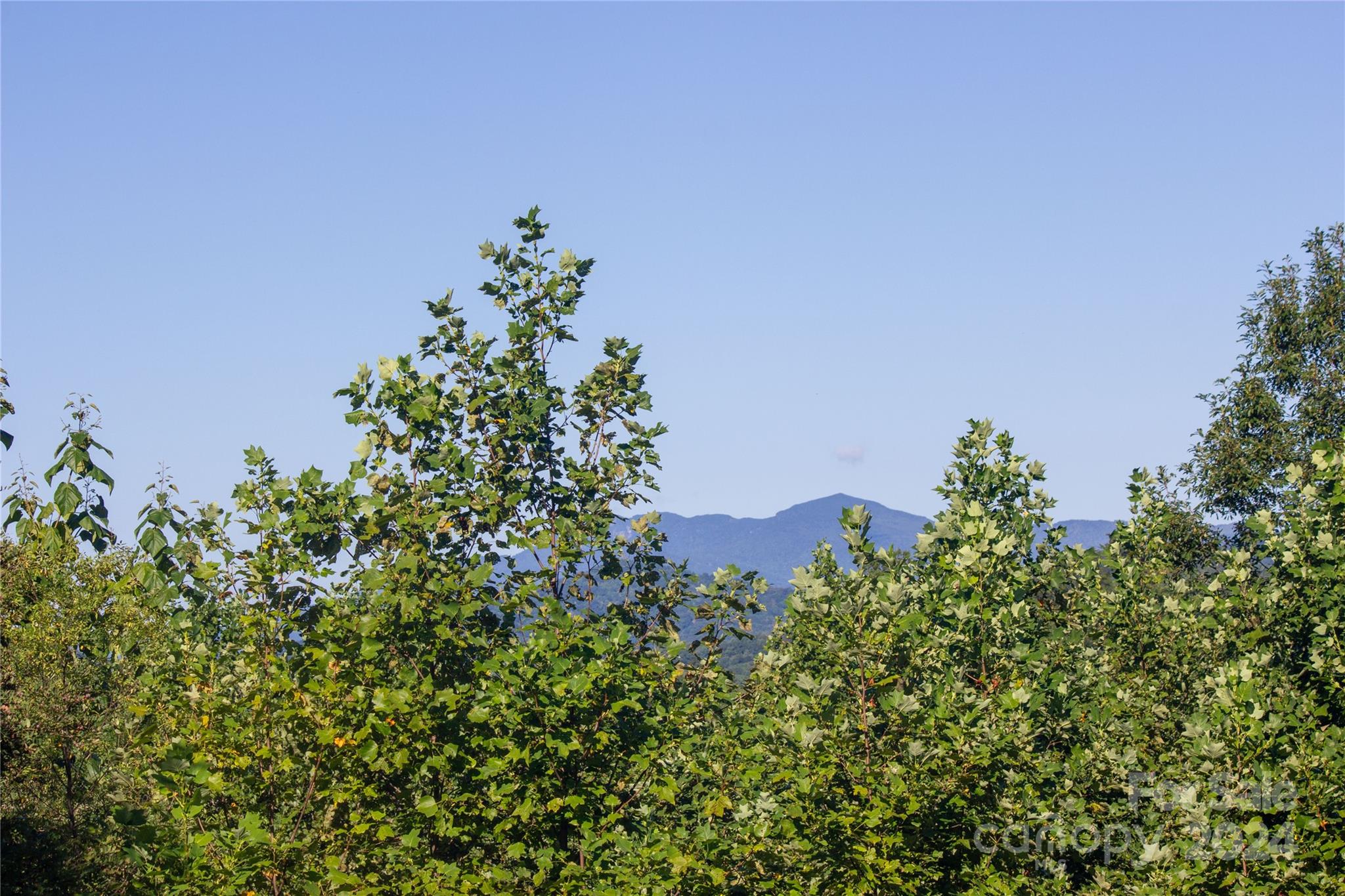 Lot# 134 Fire Crest Lane 134