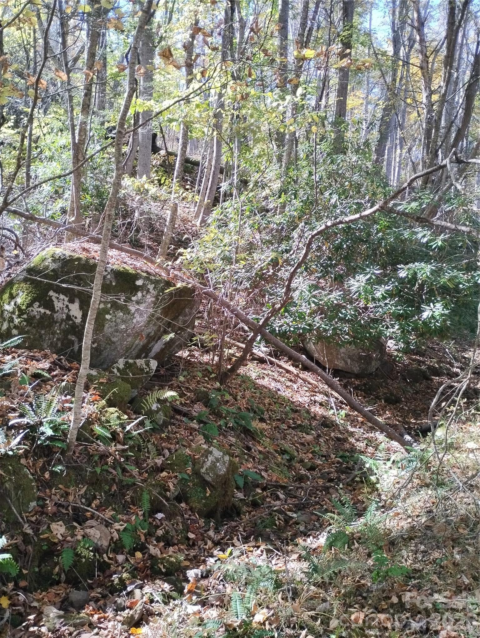 000 Dora Lane