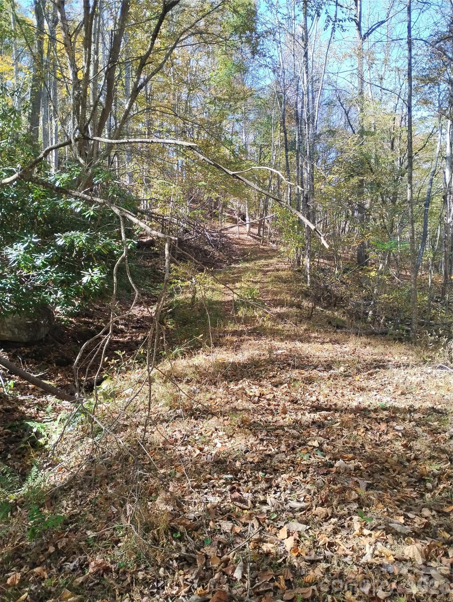 000 Dora Lane