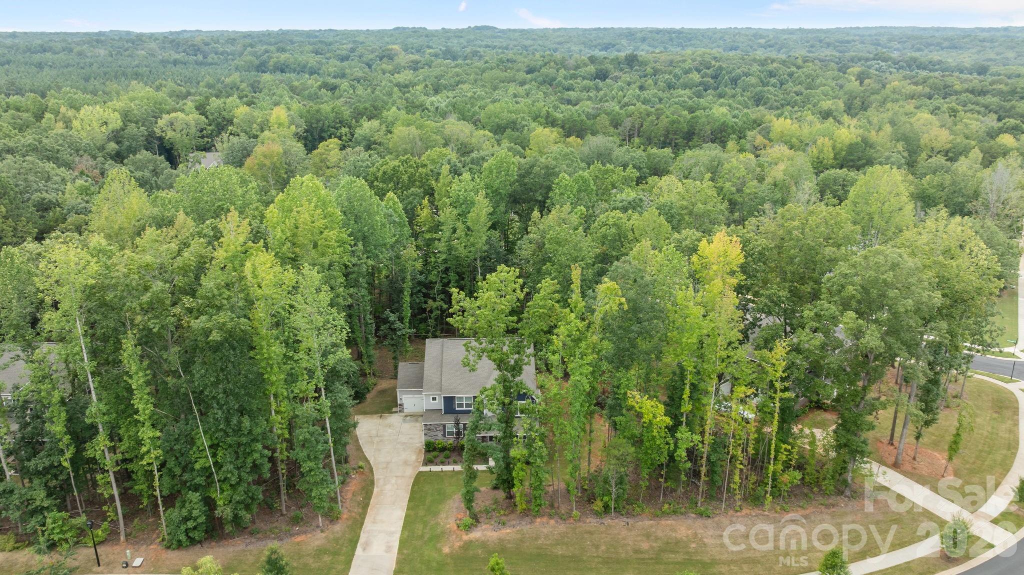 11125 Dappled Light Trail