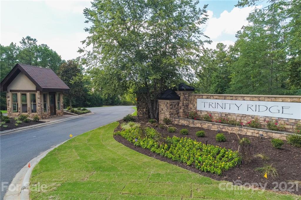 Trinity Ridge - Land