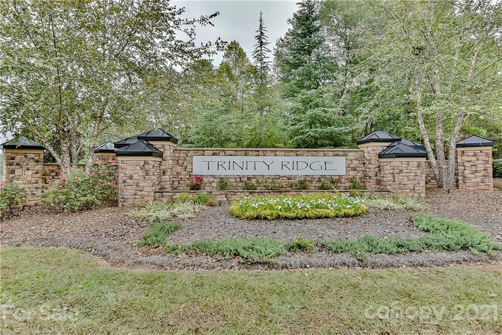 Trinity Ridge - Land