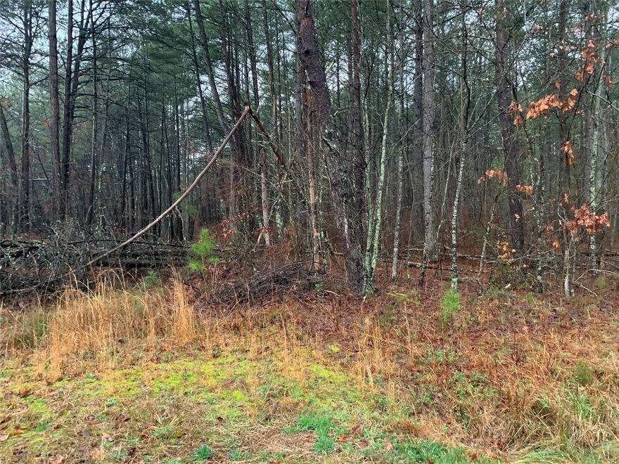 Here is a nice vacant lot that is unrestricted.  Close to Lake Lure! No well or septic on property!