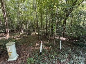 Lot 20 & 21 Zinzendorf Lane 20 & 21
