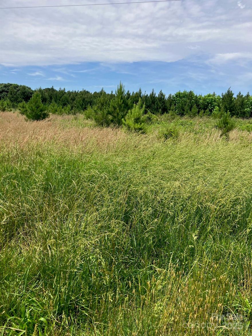 22.956 Acres carved out of parcel 556404510551 located on Renee Ford Rd. in Stanfield and backs up to Garmin Mills Development! A great location for your residential needs, and or, a multi-family compound. Land has been Annexed into the city of Stanfield with Zoning as RA 1 allowing one home PER acre! No longer in the preservation area requiring 3 acre lots to put a septic. Stanfield water available. Has established Timber Farm. Survey is available.