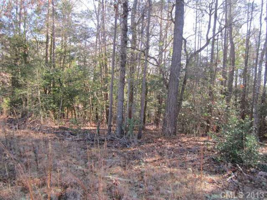 County water available per LCWSD but must have septic tank; has not been perked.