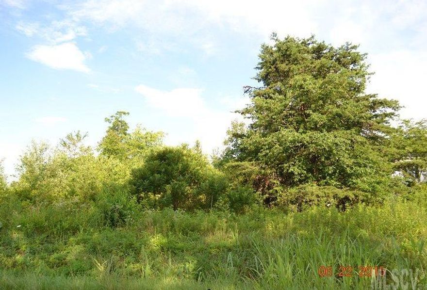 Beautiful level building lot at the edge of Alexander and Caldwell Counties, great price, just needs to be cleared and ready to build! Nearly an acre. Convenient to Hickory, Granite Falls and Taylorsville! All stats per seller to be verified by buyer/buyer's agent.