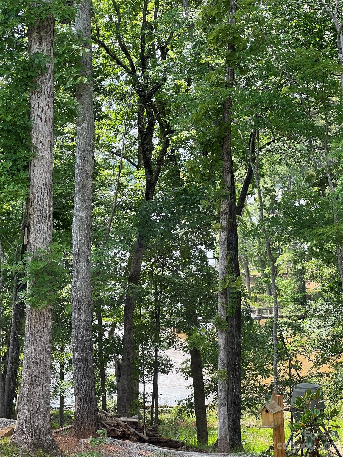 Edgewater - Residential