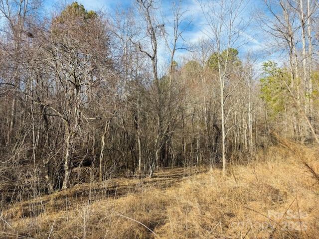 Clearwater Creek - Land