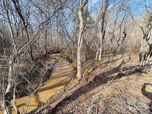 Clearwater Creek - Land