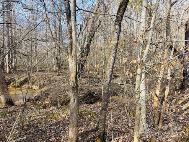 Clearwater Creek - Land