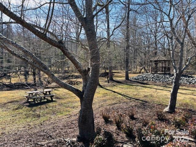 Clearwater Creek - Land