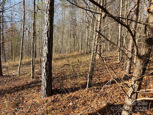 Clearwater Creek - Land