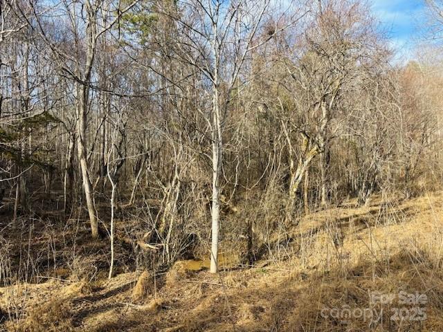 Clearwater Creek - Land