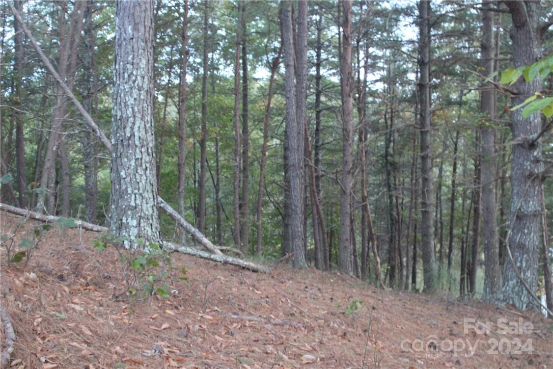 Broadwater Landing - Land