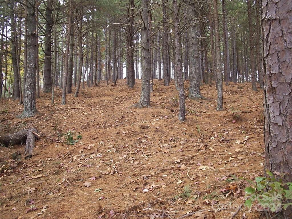 Broadwater Landing - Land