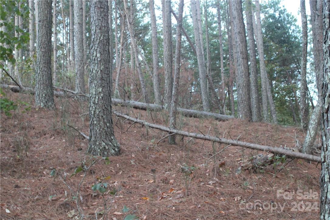 Broadwater Landing - Land