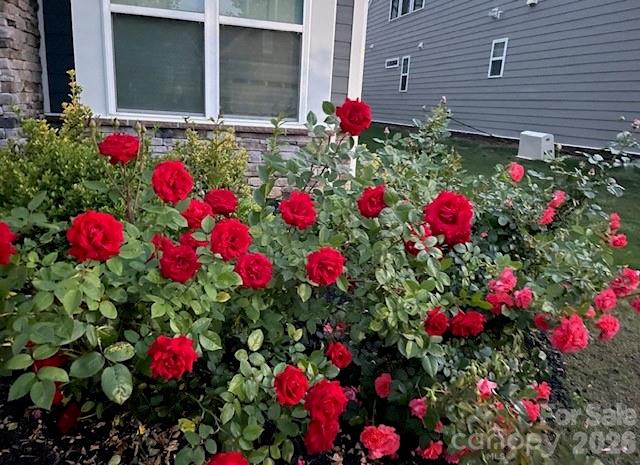 Imagery on Mtn Island - Residential