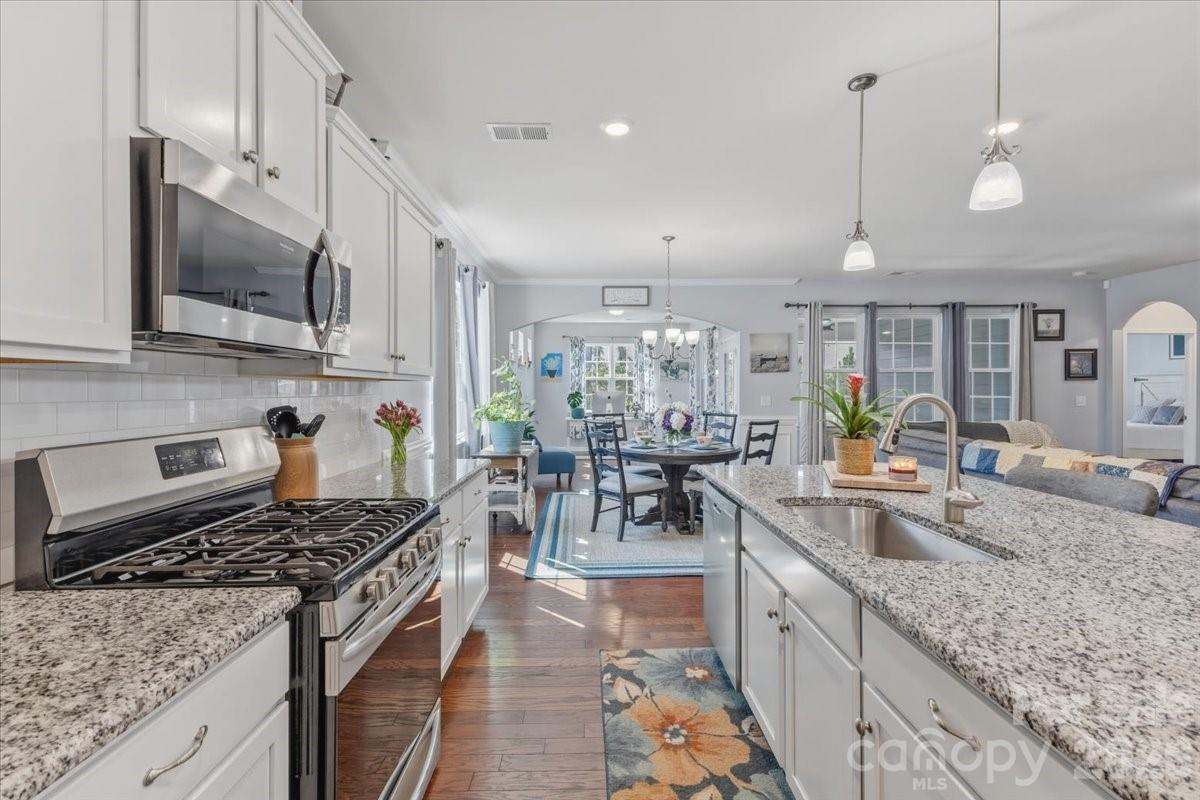 Imagery on Mtn Island - Residential