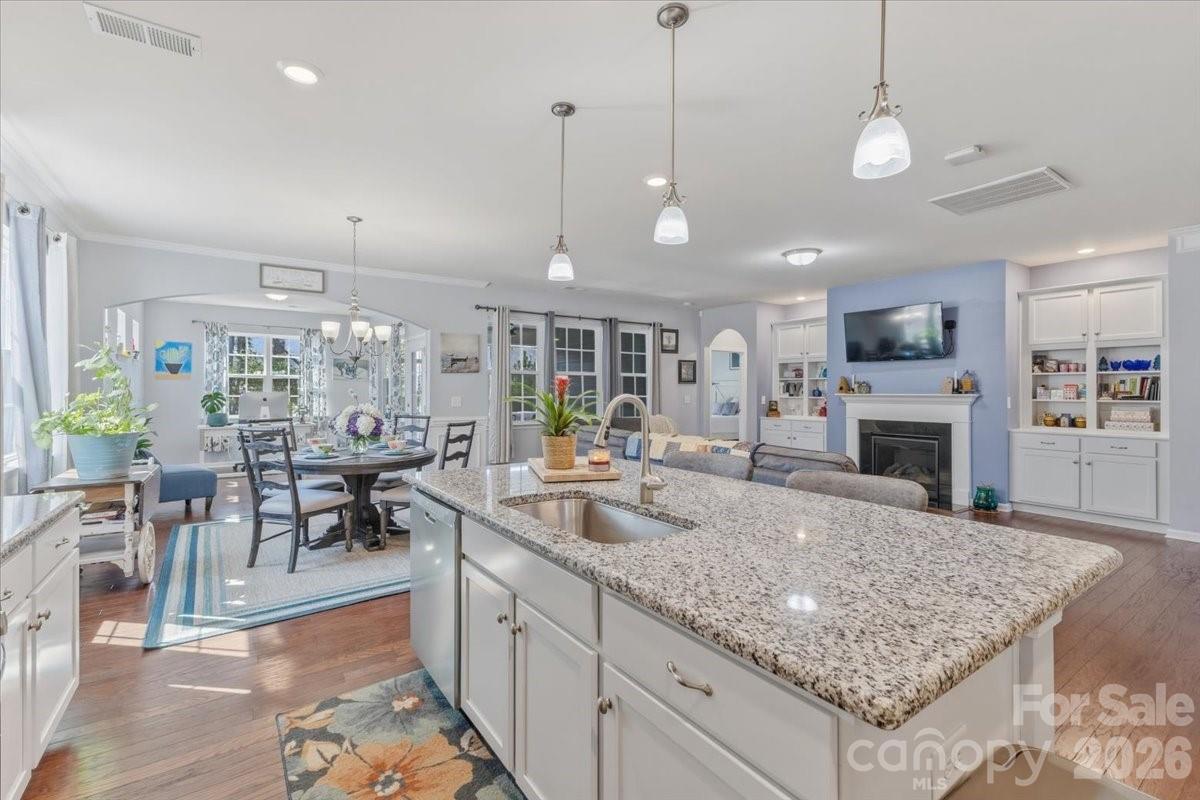 Imagery on Mtn Island - Residential