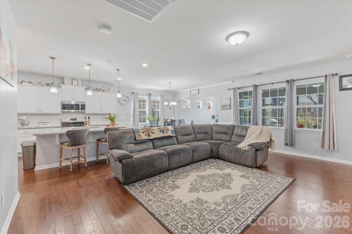 Imagery on Mtn Island - Residential