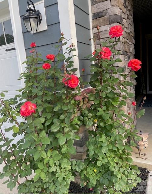 Imagery on Mtn Island - Residential