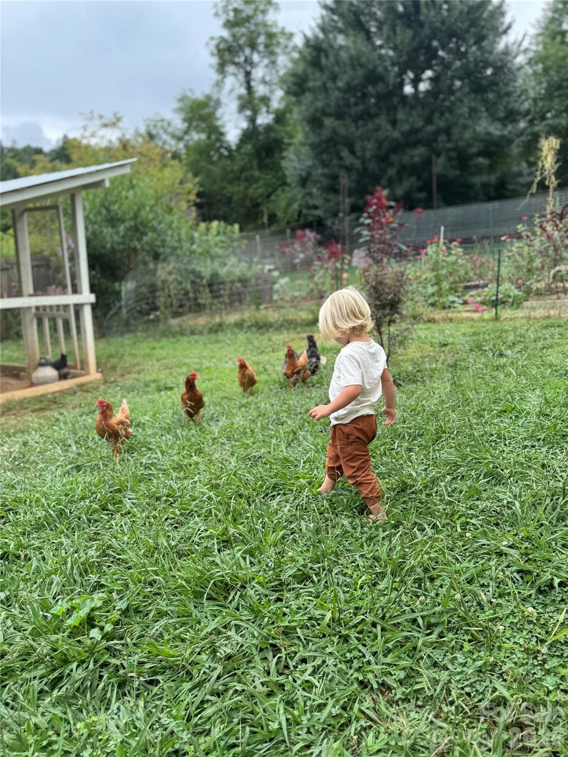 Terra Futura - Residential