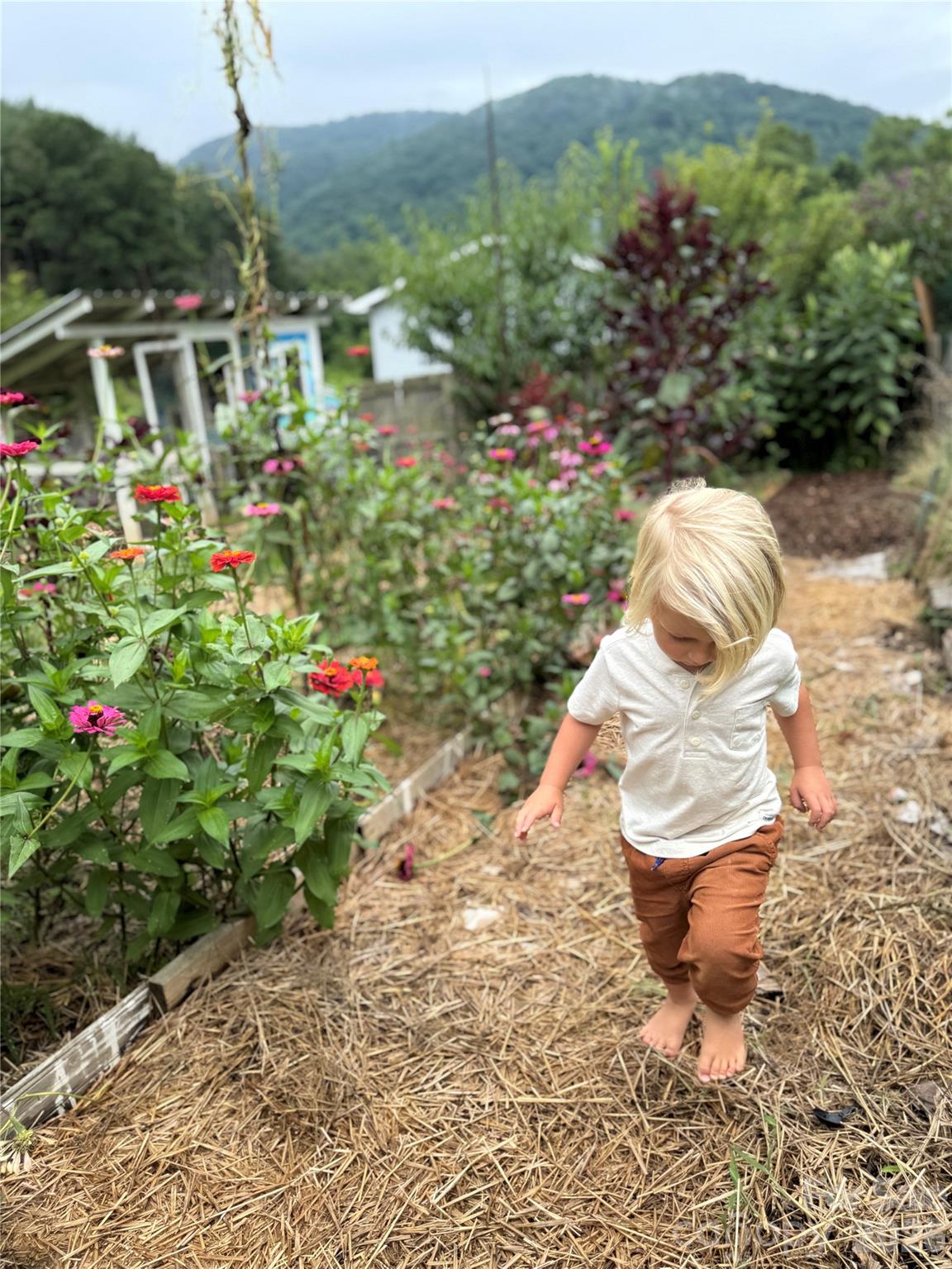 Terra Futura - Residential