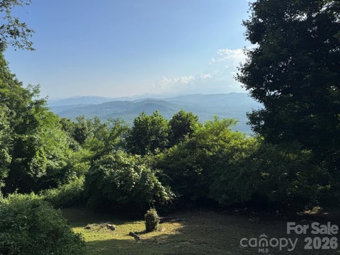 Photo of 1347 Wipprecht Drive, Spruce Pine, NC 28777 (MLS # 4400800)