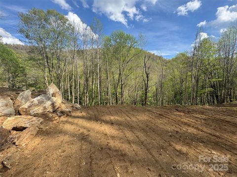 10/11 Thrash Lane Mars Hill NC 28754