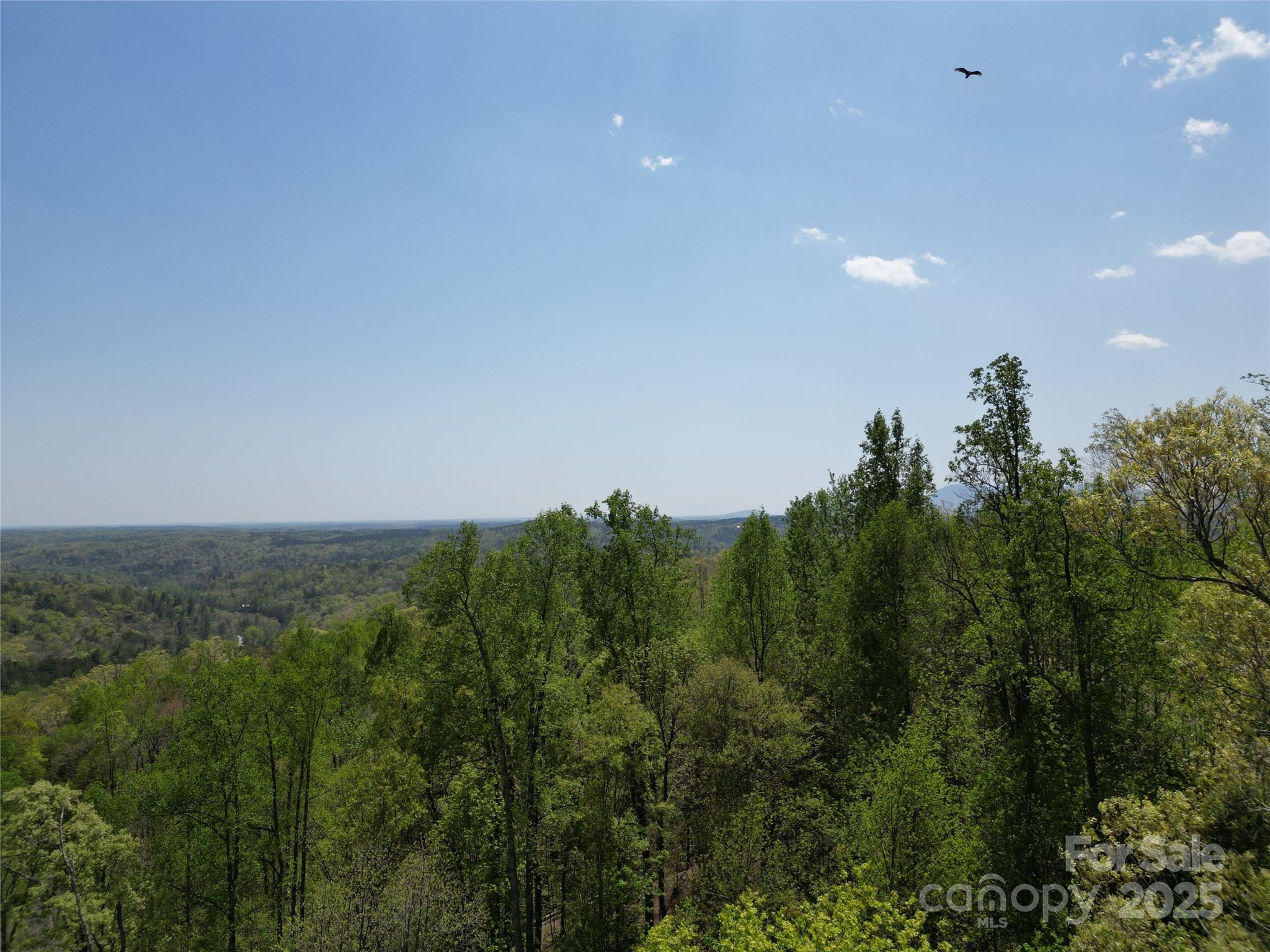 Rumbling Bald on Lake Lure - Land