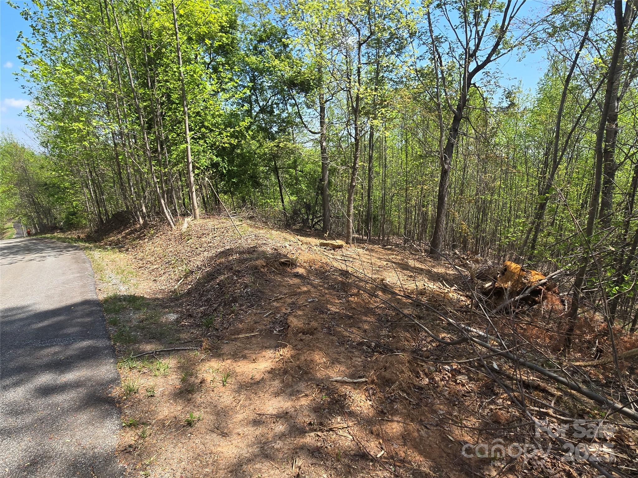 Lot 16 High Rock Ridge