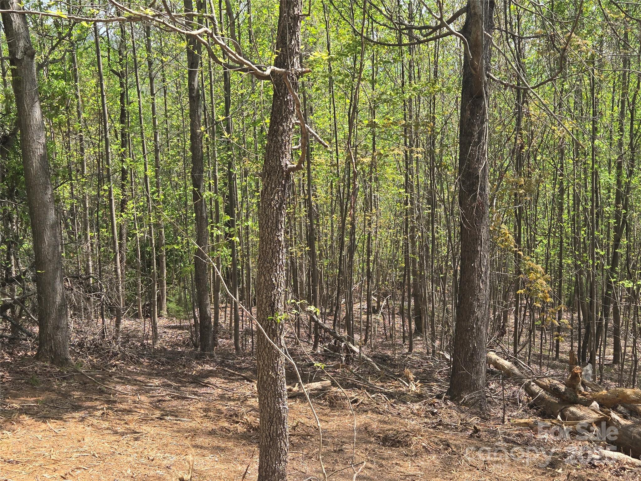 Lot 16 High Rock Ridge