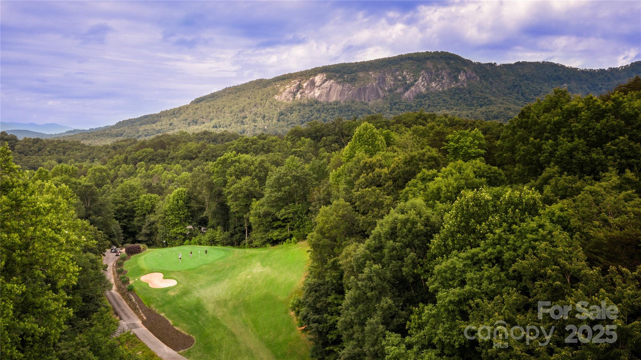 Rumbling Bald on Lake Lure - Land