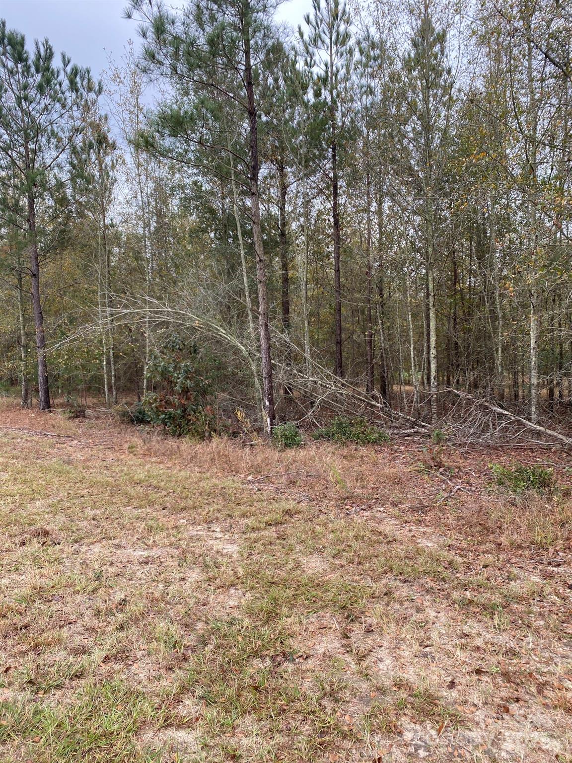 Wexford Landing - Land