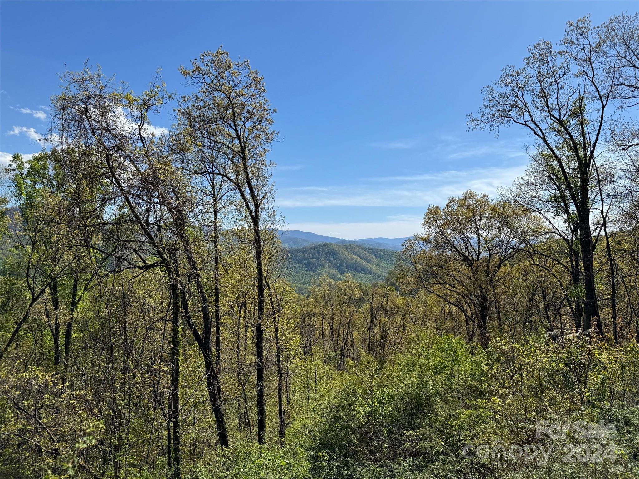 The Summit Of Asheville - Land