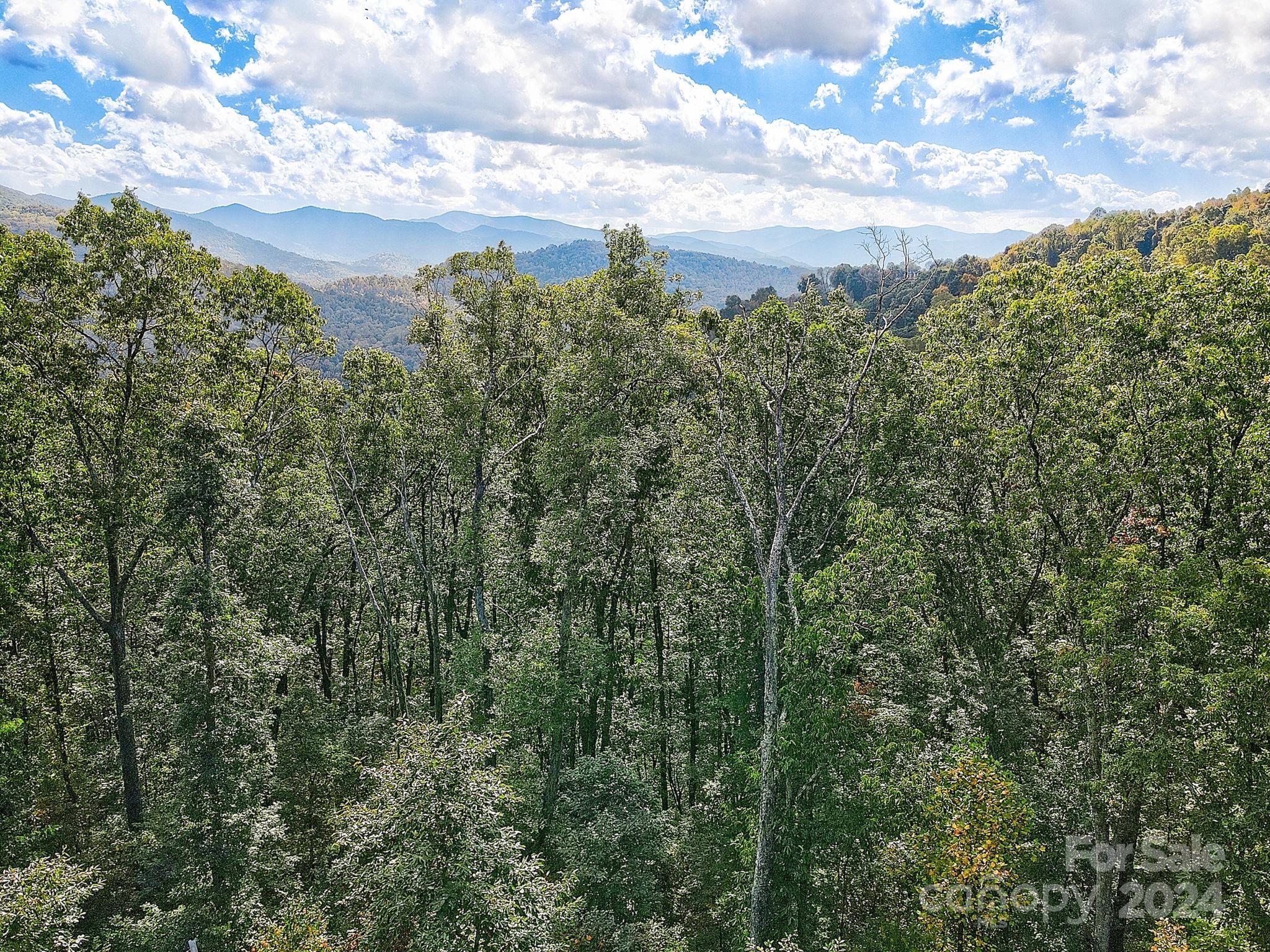 The Summit Of Asheville - Land