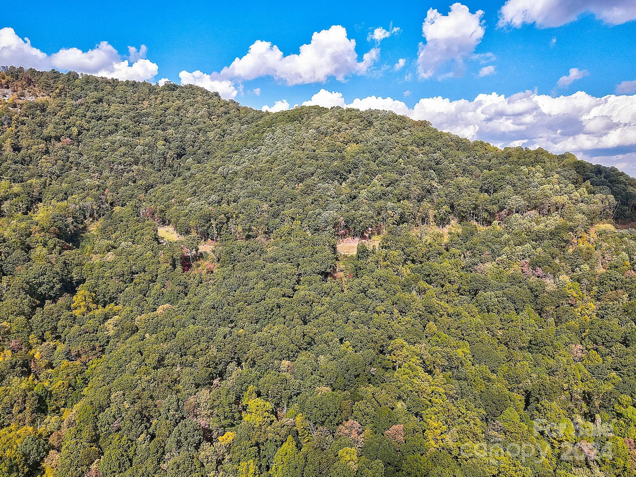 The Summit Of Asheville - Land