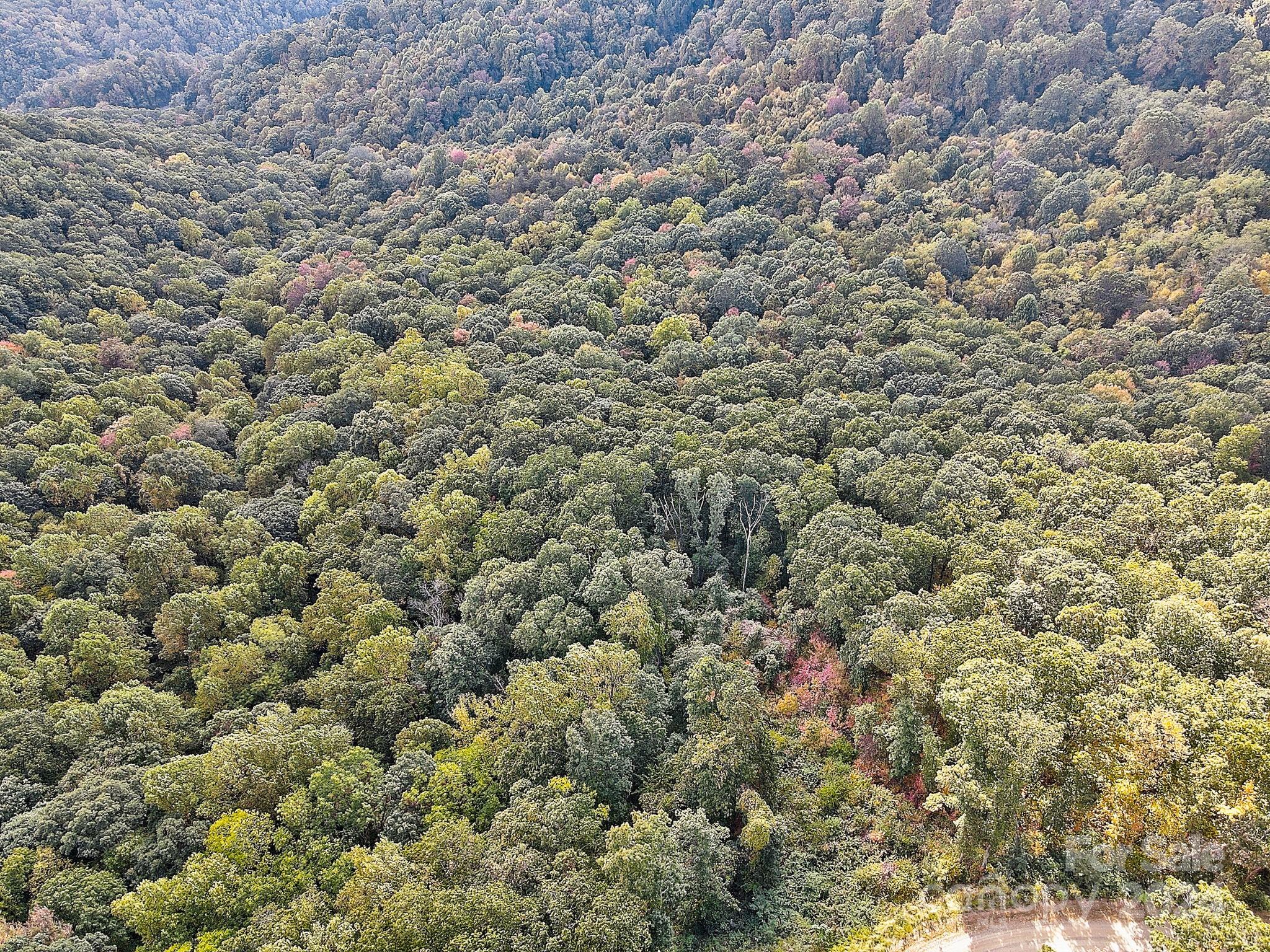 The Summit Of Asheville - Land