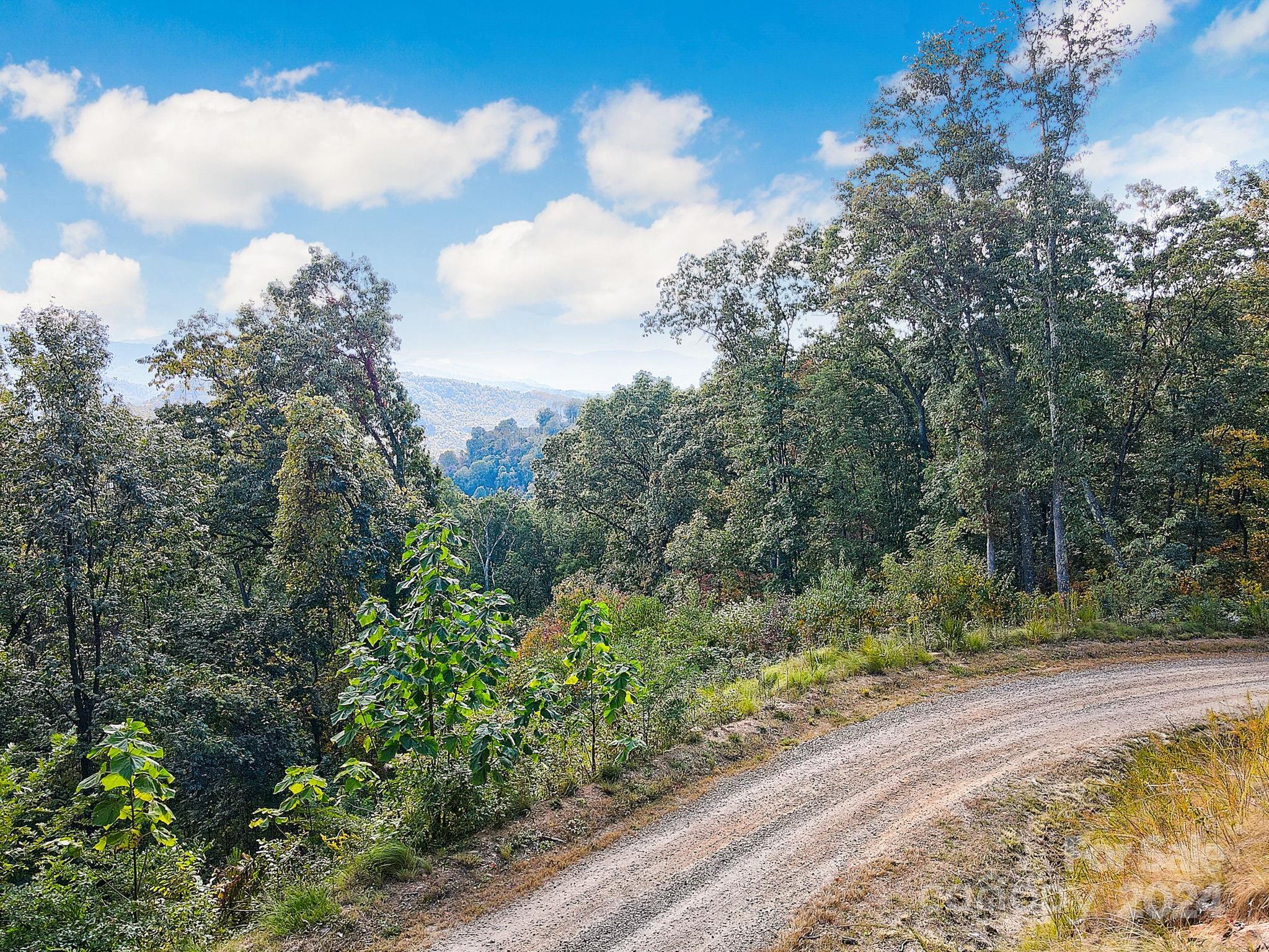 The Summit Of Asheville - Land