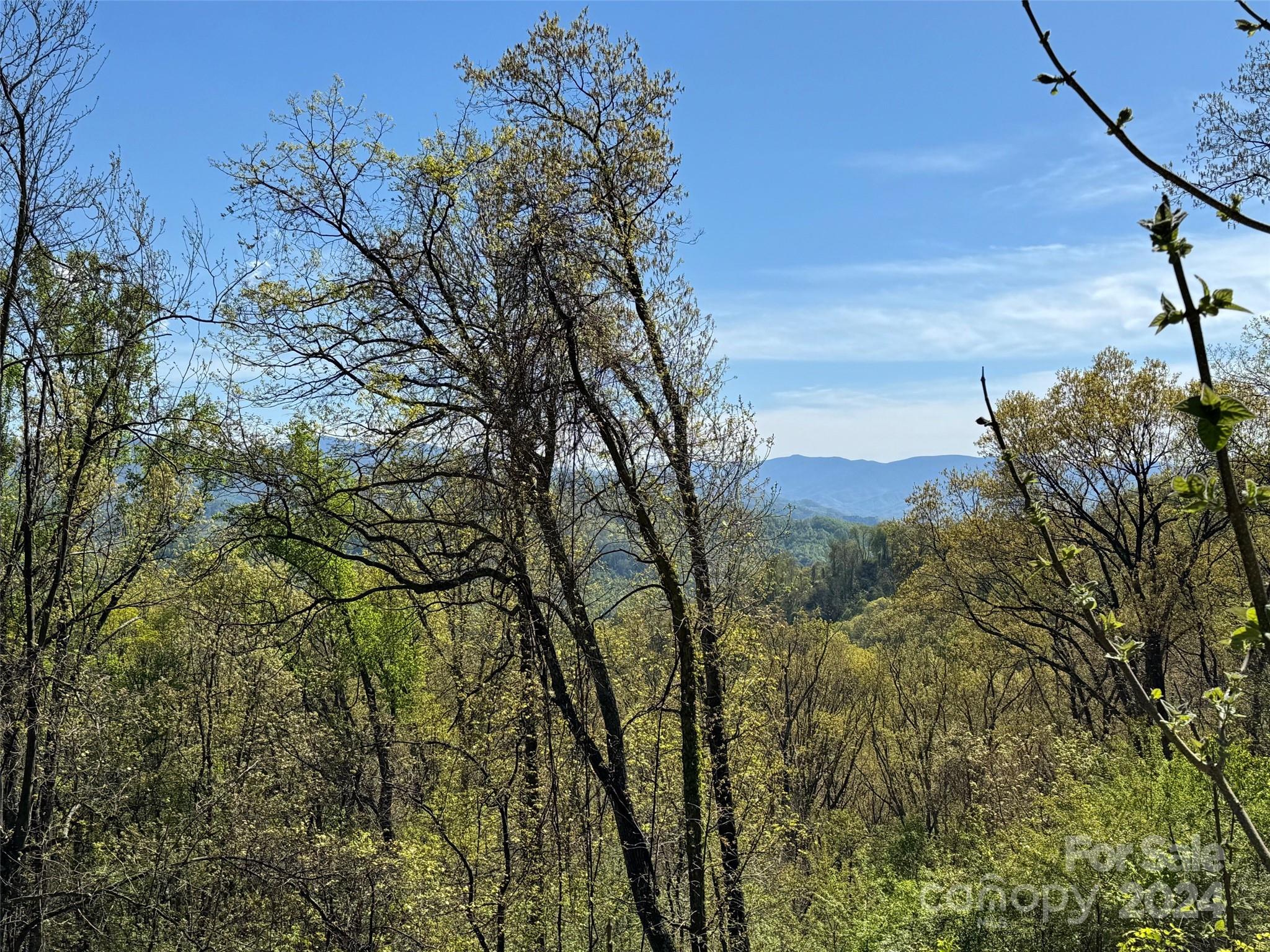 The Summit Of Asheville - Land