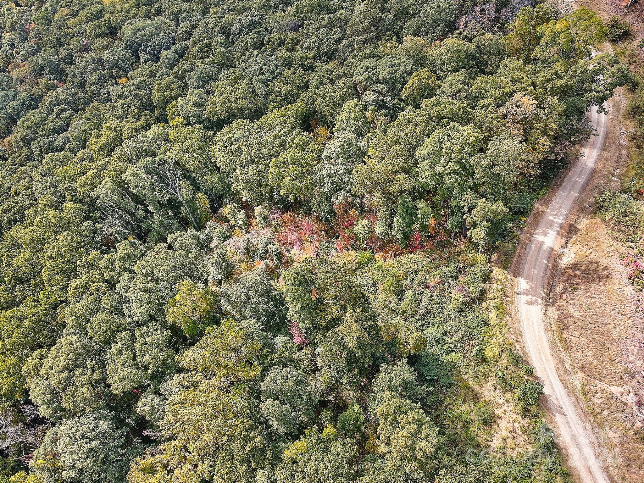 The Summit Of Asheville - Land