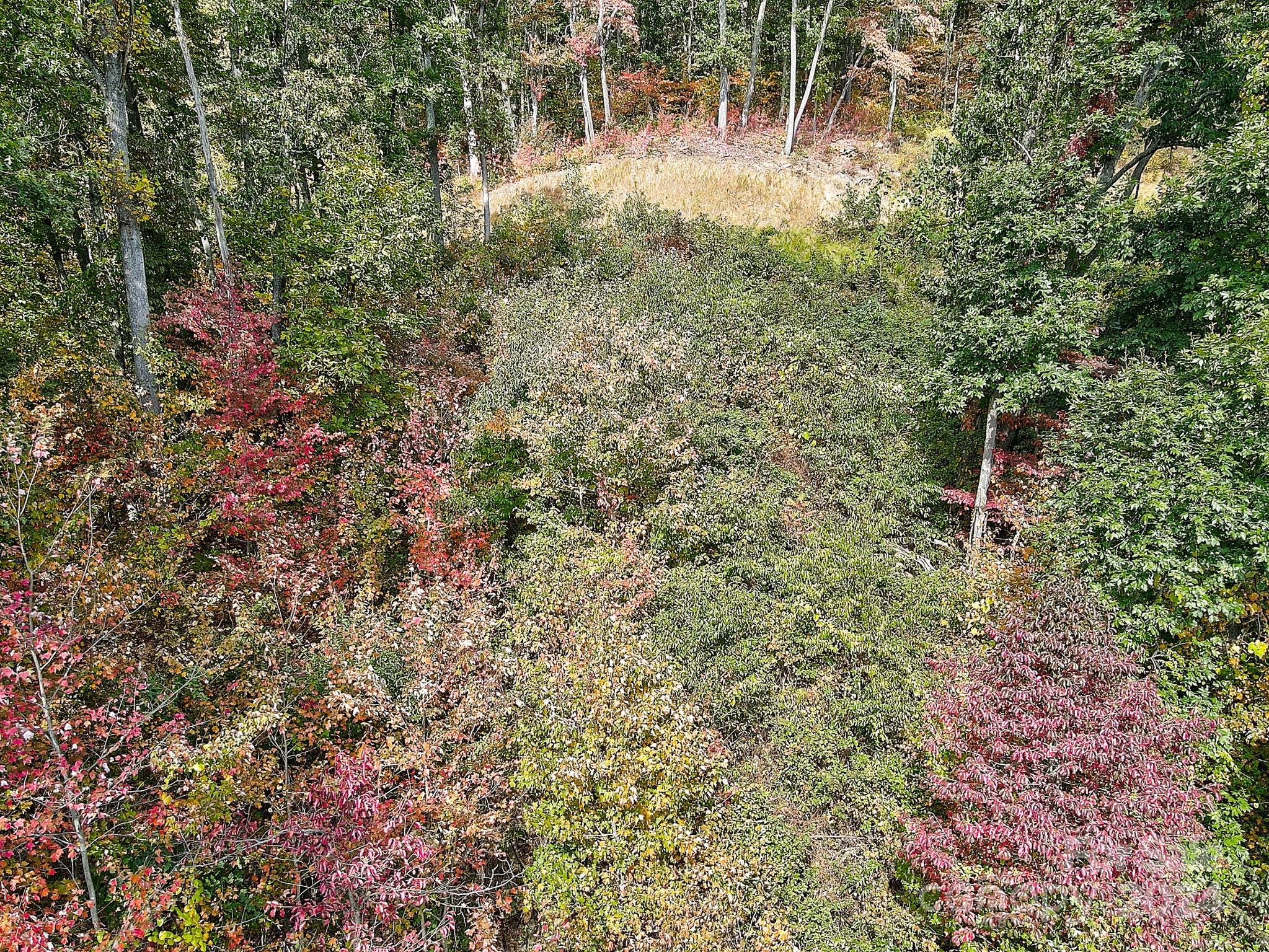 The Summit Of Asheville - Land